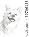 柴犬頭像 89706133