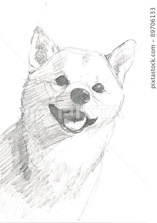 柴犬頭像 89706133
