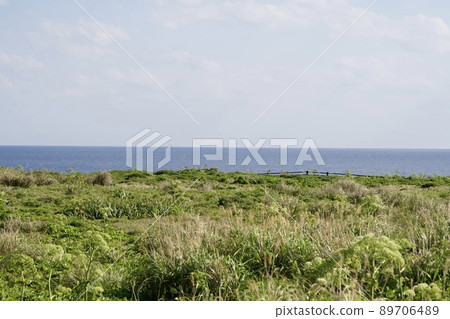 東平安那崎的草原和宮古島的大海 東平安那崎的草原和宮古島的大海 89706489