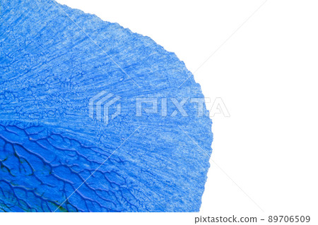 blue pink yellow abstract acrylic painting color texture on white paper background by using rorschach inkblot method blue pink yellow abstract acrylic painting color texture on white paper background by using rorschach inkblot method 89706509
