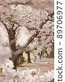 Cherry Blossom 89706977