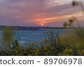 Rape flower 89706978