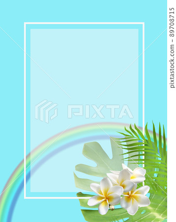 Blue sky, monstera, plumeria, and rainbow Blue sky, monstera, plumeria, and rainbow 89708715