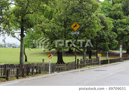 Sign of attention to deer 89709031