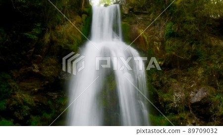 A powerful waterfall surrounded by the greenery of trees A powerful waterfall surrounded by the greenery of trees 89709032