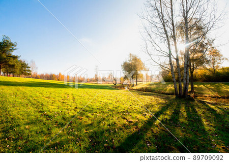 Beautiful autumn in city park 89709092