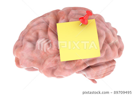 Brain with push pin and blank sticky note, 3D rendering Brain with push pin and blank sticky note, 3D rendering 89709495