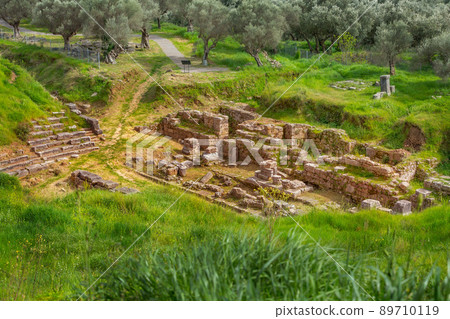 Ruins of Sparta, Peloponnese, Greece 89710119
