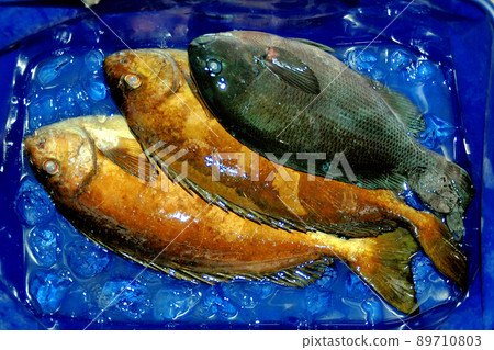 巴坎的艾戈和麥地那 巴坎的艾戈和麥地那 89710803