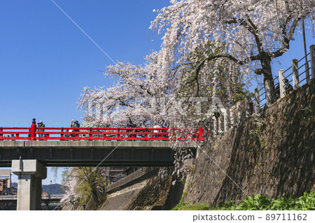 210410 Sakura Nakahashi z551 210410 Sakura Nakahashi z551 89711162