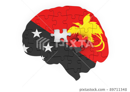 Papuan New Guinean flag painted on the brain from puzzles. Scientific research and education in Papua New Guinea concept, 3D rendering 89711348