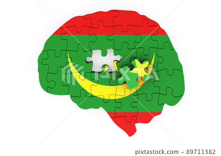 Mauritanian flag painted on the brain from puzzles. Scientific research and education in Mauritania concept, 3D rendering Mauritanian flag painted on the brain from puzzles. Scientific research and education in Mauritania concept, 3D rendering 89711382