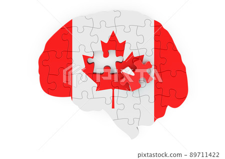 Canadian flag painted on the brain from puzzles. Scientific research and education in Canada concept, 3D rendering 89711422
