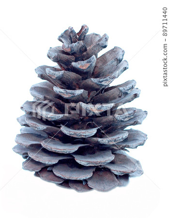 Big pine cone on white background Big pine cone on white background 89711440