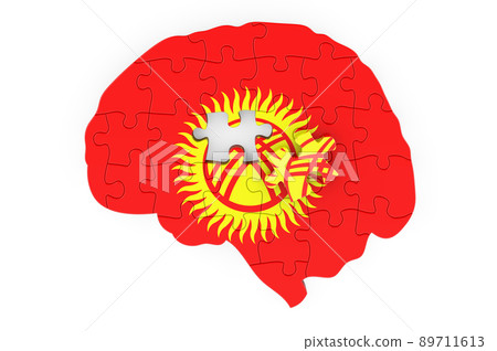 Kyrgyz flag painted on the brain from puzzles. Scientific research and education in Kyrgyzstan concept, 3D rendering 89711613