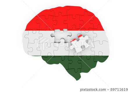Hungarian flag painted on the brain from puzzles. Scientific research and education in Hungary concept, 3D rendering 89711619
