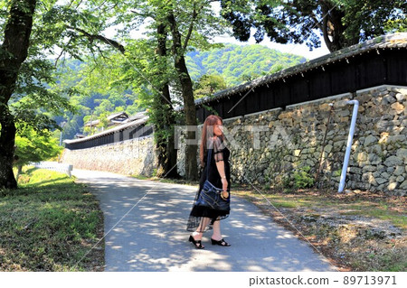 162號臥龍山行基寺難野漫步（岐阜縣海津市難野町） 89713971