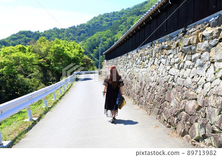 Walk around Nanno, Wolongsan Gyokiji Temple, 151 (Nanno Town, Kaizu City, Gifu Prefecture) Walk around Nanno, Wolongsan Gyokiji Temple, 151 (Nanno Town, Kaizu City, Gifu Prefecture) 89713982