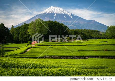 從小淵筱羽_1看到的富士山 從小淵筱羽_1看到的富士山 89714086