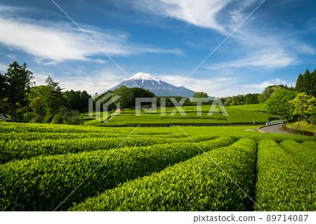 從小淵笹羽看富士山_2 從小淵笹羽看富士山_2 89714087