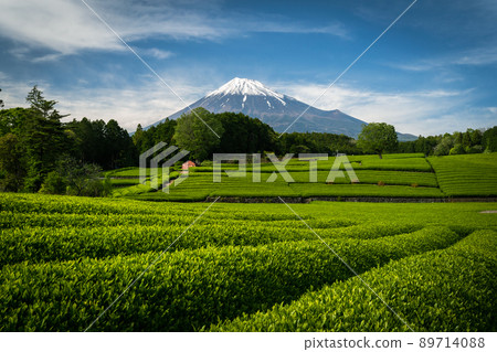 從小淵筱羽_3看到的富士山 從小淵筱羽_3看到的富士山 89714088