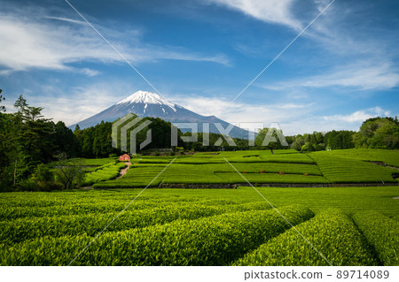 從小淵筱羽_4看到的富士山 從小淵筱羽_4看到的富士山 89714089