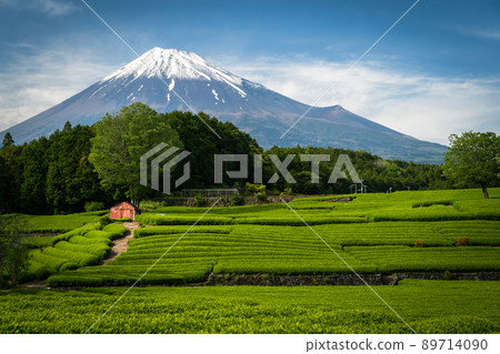 從小淵筱羽_5看到的富士山 從小淵筱羽_5看到的富士山 89714090