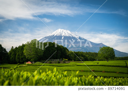 從小淵筱羽_6看到的富士山 從小淵筱羽_6看到的富士山 89714091