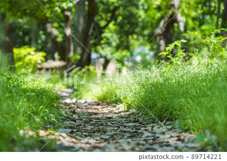 晴好時節,綠意盎然的宇坪公園(2022年5月) 晴好時節,綠意盎然的宇坪公園(2022年5月) 89714221