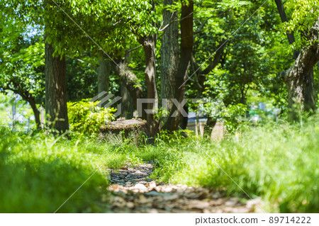 Utsubo Park in fine weather, fresh green season (May 2022) 89714222
