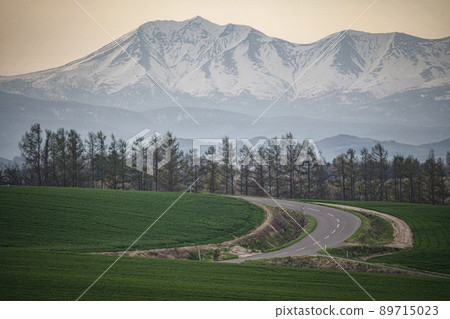Scenery of the Daisetsu mountain range seen from Biei Scenery of the Daisetsu mountain range seen from Biei 89715023