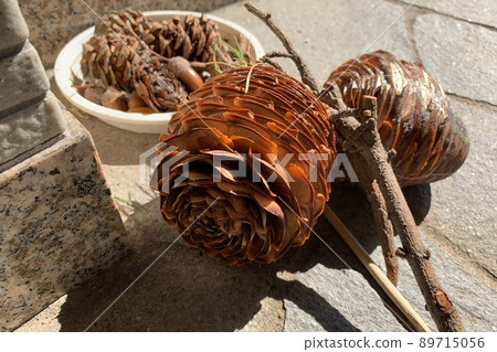 松果 松果 89715056