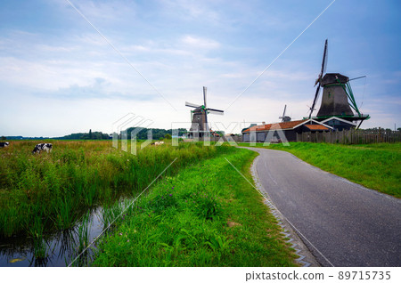 Farm houses and windmills of Zaanse Schans Farm houses and windmills of Zaanse Schans 89715735
