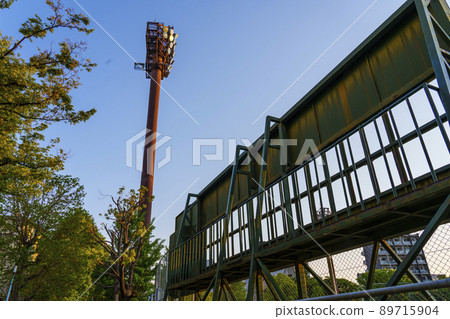被夕陽染紅的松島棒球場的夜間比賽燈光（大阪市西區千代崎） 89715904