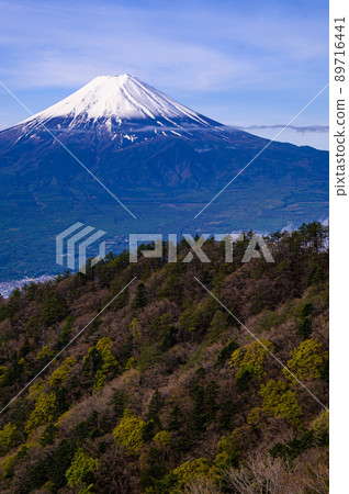 （山梨縣）春天的富士山和Mitsutoge雪妝 89716441
