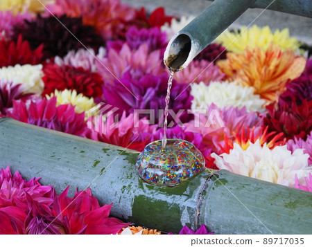 一朵美麗的花的照片填滿了水的地方 89717035