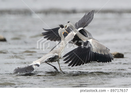 Battle Without Honor Battle Without Honor 89717637