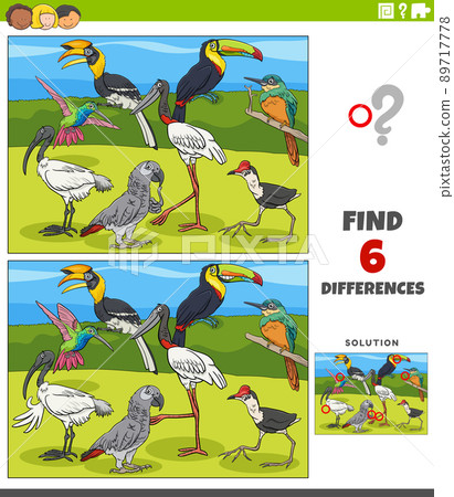 differences educational game with cartoon birds characters differences educational game with cartoon birds characters 89717778
