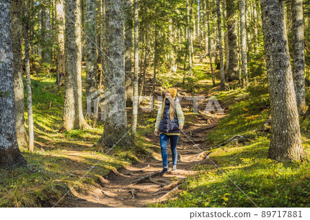 A woman in warm clothes enjoys a walk in a pine forest 89717881