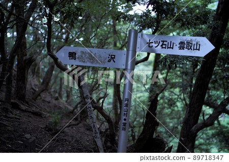 奧多摩云取山的登山風景 奧多摩云取山的登山風景 89718347