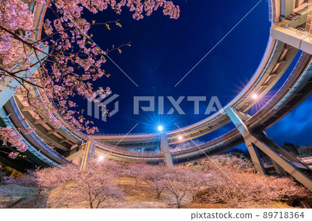 Night view of Kawazu Nanataki Loop Bridge where Kawazu cherry blossoms bloom in early spring Night view of Kawazu Nanataki Loop Bridge where Kawazu cherry blossoms bloom in early spring 89718364