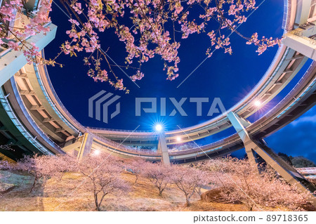 Night view of Kawazu Nanataki Loop Bridge where Kawazu cherry blossoms bloom in early spring Night view of Kawazu Nanataki Loop Bridge where Kawazu cherry blossoms bloom in early spring 89718365