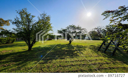 春天公園的早晨！ 89718727