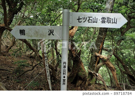Climbing scenery of Mt. Kumotori, Okutama 89718784