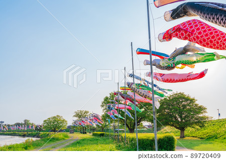 堺川綠道公園，鯉魚旗在空中游弋<岐阜縣岐阜市> 89720409