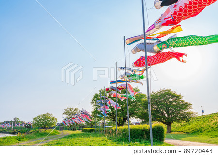 堺川綠道公園,鯉魚旗在空中游弋<岐阜縣岐阜市> 堺川綠道公園,鯉魚旗在空中游弋<岐阜縣岐阜市> 89720443