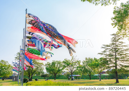 Sakaigawa Ryokudo Park, carp streamer swimming in the sky <Gifu City, Gifu Prefecture> Sakaigawa Ryokudo Park, carp streamer swimming in the sky <Gifu City, Gifu Prefecture> 89720445