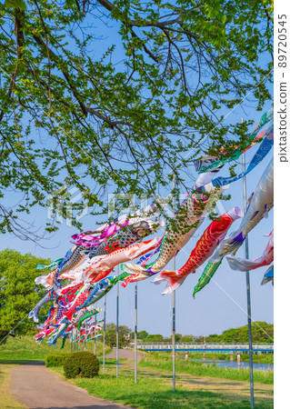 Sakaigawa Ryokudo Park, carp streamer swimming in the sky <Gifu City, Gifu Prefecture> 89720545
