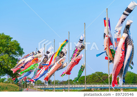 堺川綠道公園，鯉魚旗在空中游弋<岐阜縣岐阜市> 89720546