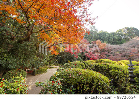 京都資仙堂、京都的紅葉名勝、資仙堂定山寺、紅葉和日本庭園、京都觀光景點 89720554